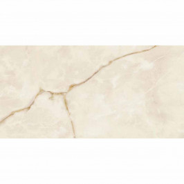 Просмотренные товары Symphonyx Gold lapp 160
