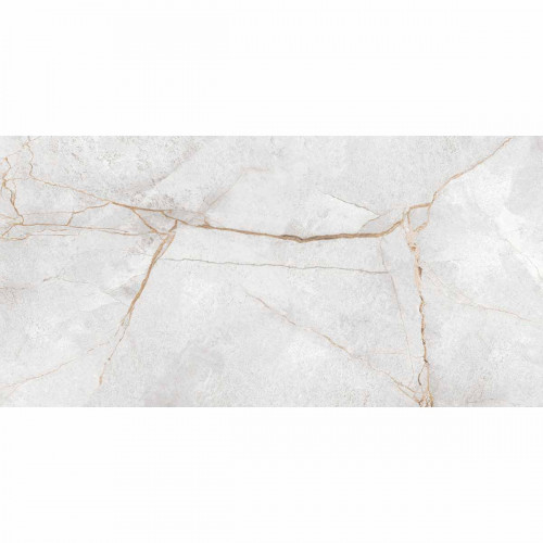 Керамогранитная плитка Special Marmo Gray 600x1200 (60120PEC15P) в Москве