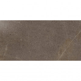 Просмотренные товары Contempora Burn/ Контемпора Берн 60x120 Патинированный